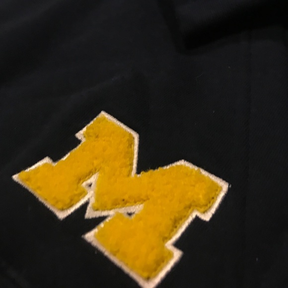 Michigan Hoodie - Picture 5 of 5